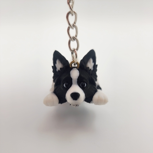 Border Collie