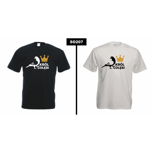 Król gołębi SO207 Gołąb Gołębiarstwo